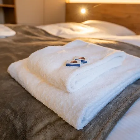 Apartment Horu- New & Luxury & Access Sunnegga *