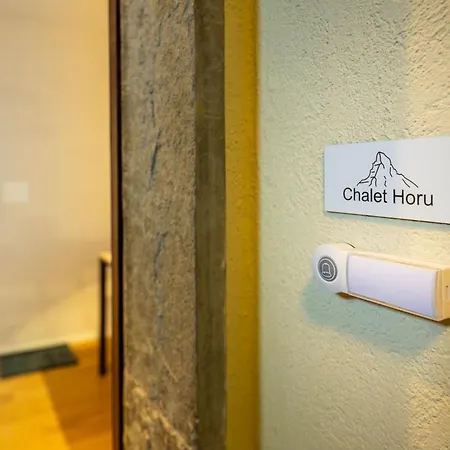 Horu- New & Luxury & Access Sunnegga Apartment Zermatt
